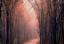 九游体育：官方：切尔西欧协联同哥本哈根首回合3月7日凌晨1：45开球.