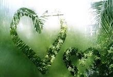 九游体育：时政微视频丨瞰吉林.